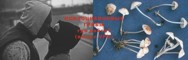 гашиш Белокуриха